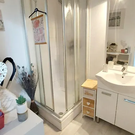 Proche De La Cite De L'espace 아파트 *